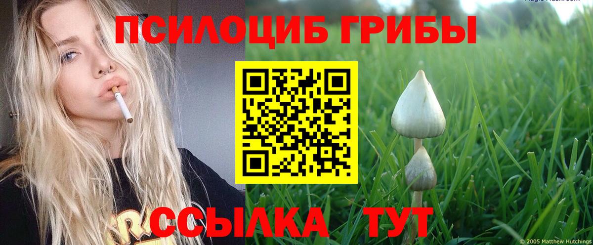 Галлюциногенные грибы Psilocybe  Вход с VPN  Галлюциногенные грибы мухоморы  Мелеуз 